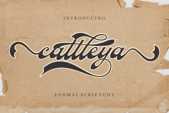 Cattleya: A Stylish Retro Script Font for Scroll-Stopping Brand Content