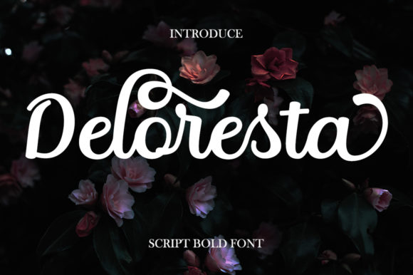 Deloresta: A Designer’s Real-World Review